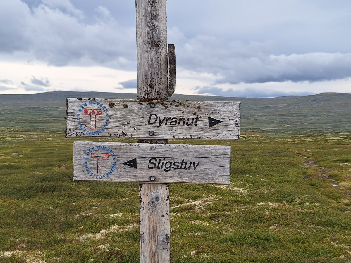 Hardangervidda august 2024