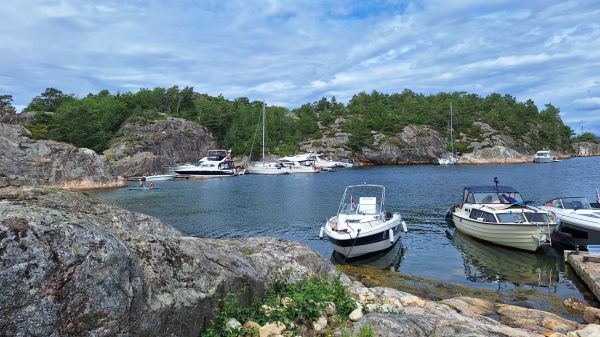 20250709_1359192804302208962705928